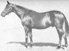 stallion Bois Roussel xx (Thoroughbred, 1935, from Vatout xx)
