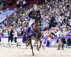 jumper King Edward Ress (Belgian Warmblood, 2010, from Edward 28)