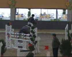 jumper Boulahrouz (KWPN (Royal Dutch Sporthorse), 2006, from Sydney)