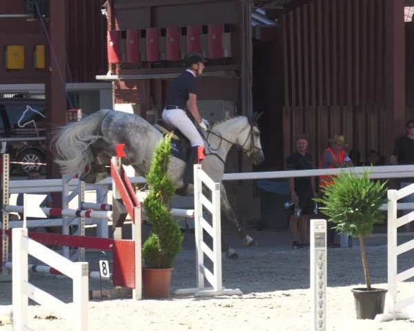Reitturnier Gundelfingen 2022