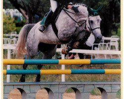 broodmare Gina Ginelli (Oldenburg, 1993, from Grandeur)