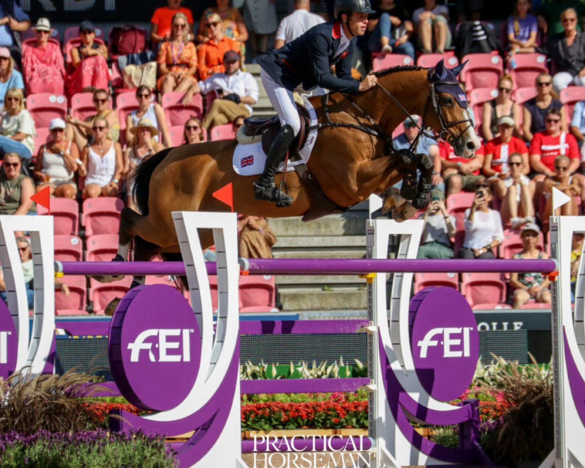 jumper Hello Jefferson (Belgian Warmblood, 2009, from Cooper van de Heffinck)