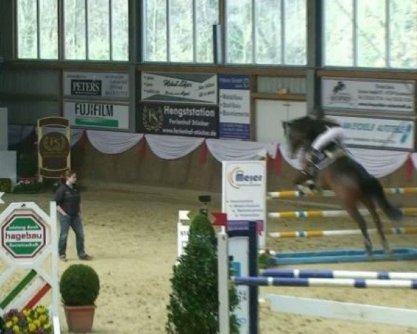 jumper Prada 10 (Rhinelander, 2004, from Prado)