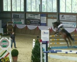 jumper Prada 10 (Rhinelander, 2004, from Prado)
