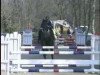 jumper Casandro G (Bavarian, 2000, from Calvin)