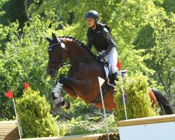 broodmare Rockaya (Hanoverian, 2017, from Radisson)