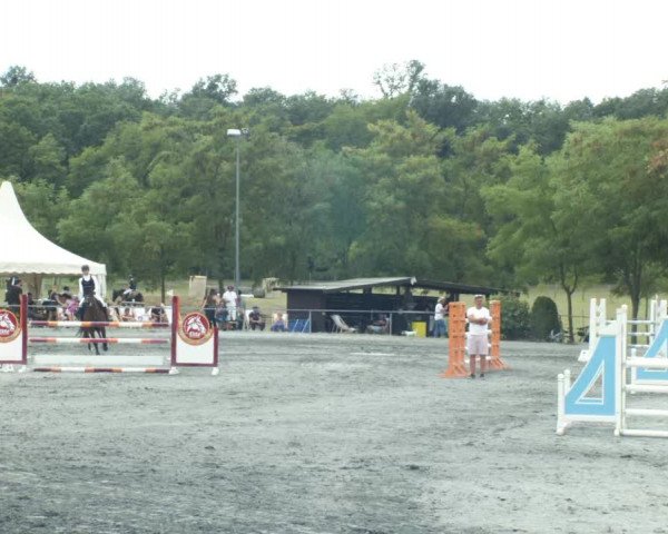 Reitturnier Horitschon 2022