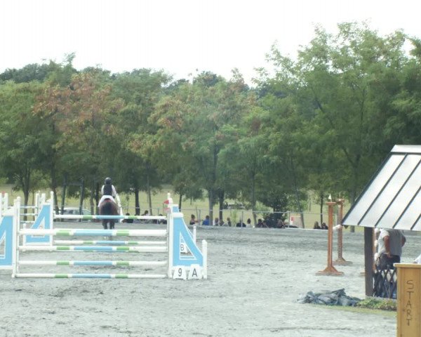 Reitturnier Horitschon 2022