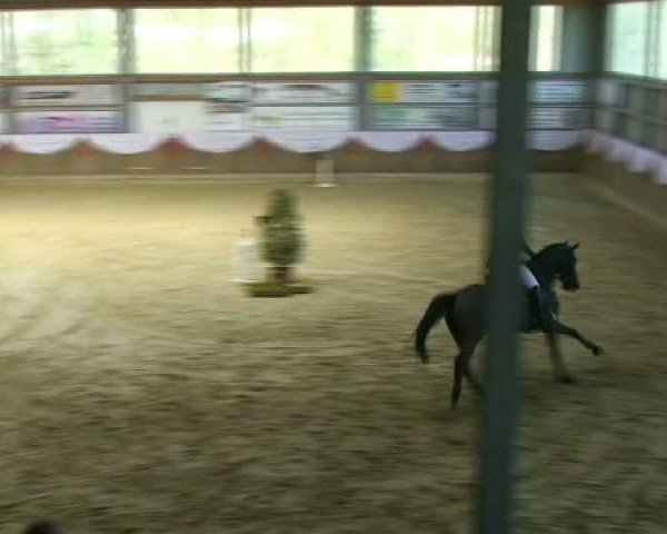 jumper Rubinius F (Oldenburg, 2002, from Rubin Royal OLD)