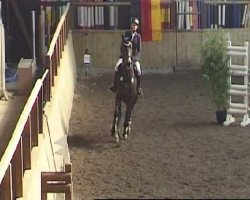 broodmare Constanze (Hanoverian, 2002, from Contendro I)