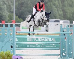 jumper Balento C.s (Oldenburg, 2011, from Balou du Rouet)