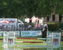 jumper Celebration 18 (Hanoverian, 2004, from Captain Paul I)