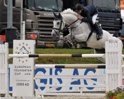 jumper Cavalino G (Bayer, 2000, from Country Cross)