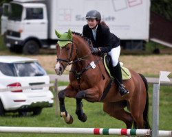 jumper Elton 42 (Hanoverian, 2004, from Earl)