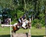 dressage horse Betty Bee (Pony without race description, 2010)