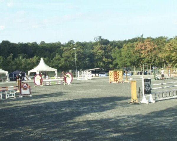 Reitturnier Horitschon 2022