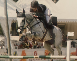 jumper Casmaron Rp (German Sport Horse, 2016, from Chacoon Blue)