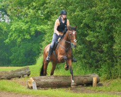 broodmare Bonny (Holsteiner, 2001, from Leandro)