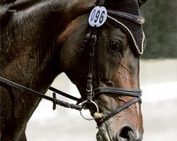 dressage horse Reminic Rave (Bavarian, 2001, from Riccione)