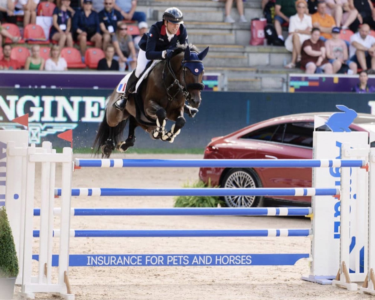 jumper Cayman Jolly Jumper (Selle Français, 2012, from Hickstead)