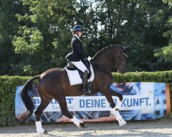 broodmare Fontainebleau (Westphalian, 2015, from Fürstenball)