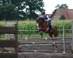 Springpferd Sally Jo (Welsh Pony (Sek.B), 2000, von Tizian)