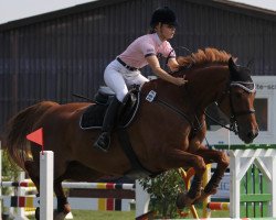 jumper Fiodor (Hanoverian, 2001, from Full Speed)