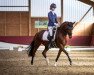 dressage horse Candice La Jolie (German Riding Pony, 2005, from Cornett)