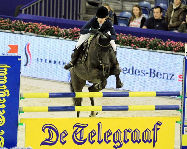 jumper Aischa M (KWPN (Royal Dutch Sporthorse), 2005, from Casall Ask)