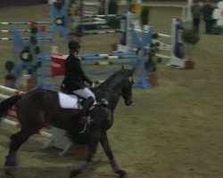 jumper Wunimog (Hanoverian, 2001, from Waldstar xx)