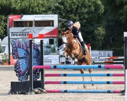 jumper Red Roy (German Riding Pony, 2018, from Rob Roy van Het Klavertje)