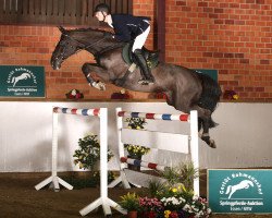 jumper Genava Gb (Oldenburg show jumper, 2004, from Liberty Life 125 FIN)