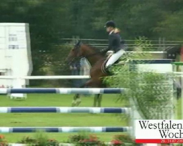 jumper Leon 507 (Hanoverian, 2003, from Lafontaine)