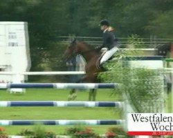 jumper Leon 507 (Hanoverian, 2003, from Lafontaine)