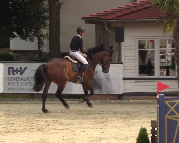 Reitturnier Schnarup-Thumby 2022