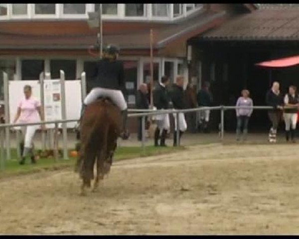 horse Rubicon N (Westphalian, 1999, from Rosenkavalier)
