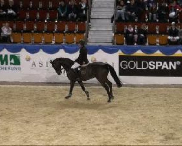 jumper Bentley 47 (Oldenburg show jumper, 2004, from Balou du Rouet)