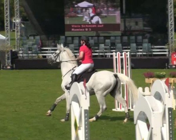 horse Ramina B 3 (Hanoverian, 1997, from Rabino)