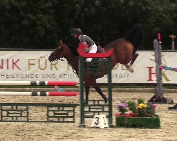 Reitturnier Schnarup-Thumby 2022