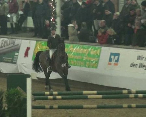 jumper Bounty 143 (Westphalian, 2002, from Baldini II)
