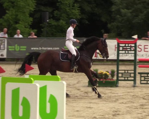 Reitturnier Schnarup-Thumby 2022