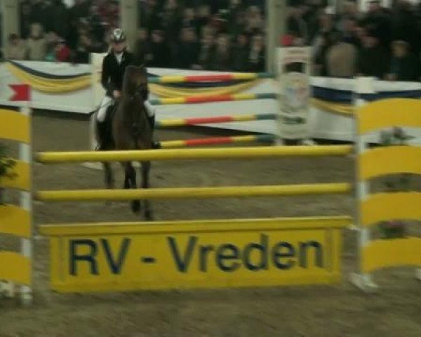 jumper Lamborghini 83 (Oldenburg, 2002, from Lordanos)
