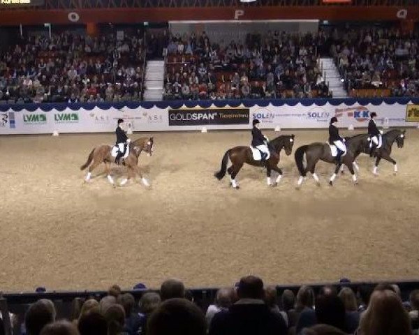 dressage horse Farrameh (Westphalian, 2002, from Florestan I)