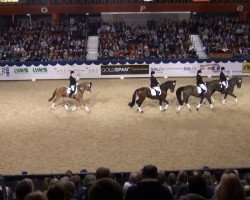 dressage horse Farrameh (Westphalian, 2002, from Florestan I)