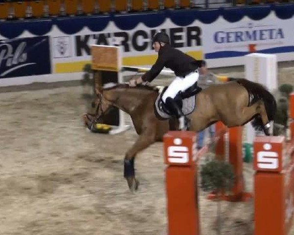 jumper Landino 132 (Oldenburg, 2004, from Landor S)