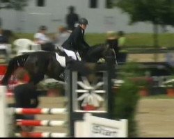 broodmare Hermine 47 (Westphalian, 2005, from Harry)