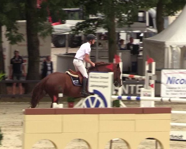 Reitturnier Schnarup-Thumby 2022