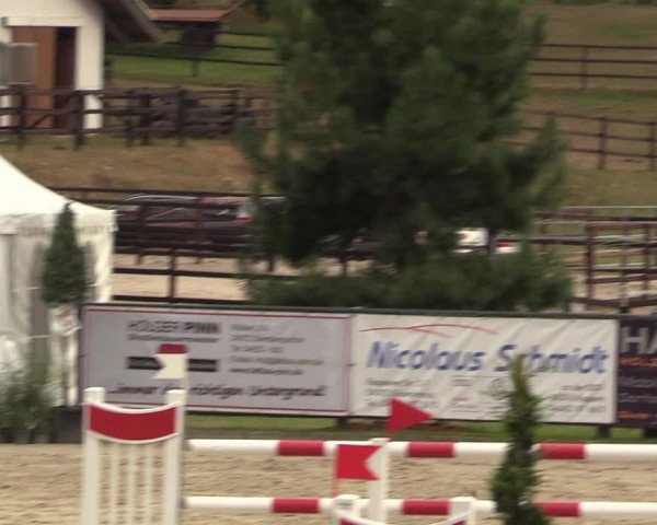 Reitturnier Schnarup-Thumby 2022