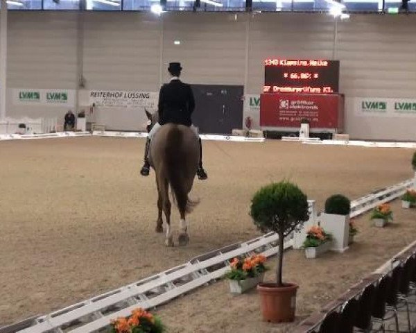 dressage horse Piaggio SG (Westphalian, 1995, from Pluspunkt)