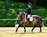 dressage horse Calea 10 (German Riding Pony, 2015, from Cupertino ML)